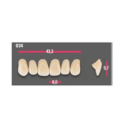 Vitapan Anterior Shade C4 Upper Mould O34 Set 6