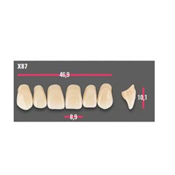 Vitapan Anterior Shade C4 Upper Mould X87 Set 6