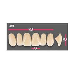 Vitapan Anterior Shade C4 Upper Mould X99 Set 6