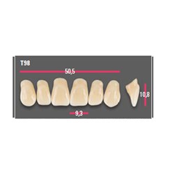 Vitapan Anterior Shade D3 Upper Mould T98 Set 6
