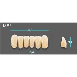 Physiodens Anterior Shade A1 Lower Mould L4M Set 6