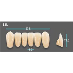 Physiodens Anterior Shade A1 Lower Mould L8L Set 6