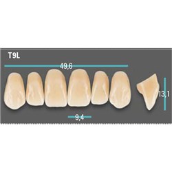 Physiodens Anterior Shade A1 Upper Mould T9L Set 6