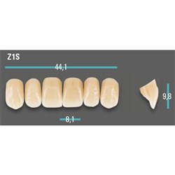 Physiodens Anterior Shade A1 Upper Mould Z1S Set 6