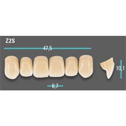 Physiodens Anterior Shade A1 Upper Mould Z2S Set 6