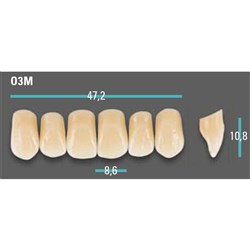 Physiodens Anterior Shade A2 Upper Mould O3M Set 6