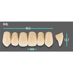 Physiodens Anterior Shade A2 Upper Mould O4L Set 6