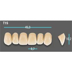 Physiodens Anterior Shade A2 Upper Mould T1S Set 6