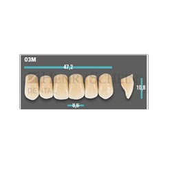 Physiodens Anterior Shade B4 Upper Mould O3M Set 6