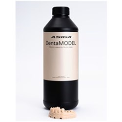 ASIGA DentaMODEL 1kg Bottle