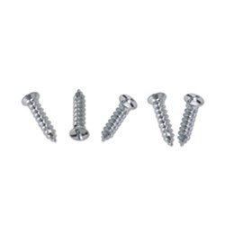 2.0mm x 10mm Mini Screw pkt 6