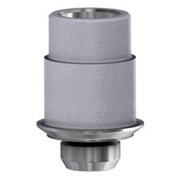 Camlog TiBase Non-Eng 3.3 GH 0.5mm