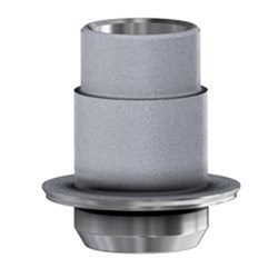 Camlog TiBase Non-Eng 5.0 GH 0.3mm