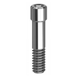 Screw Hex 1.27 Camlog 5.0/6.0 5.0/6.0 Int. CAM