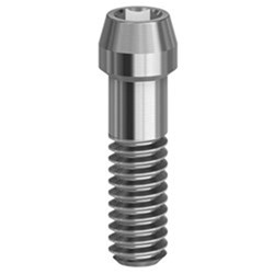 Screw Astra EV 4.2