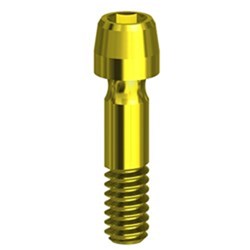 Screw TIN  H1,27 RP on implant Int. Hex conic