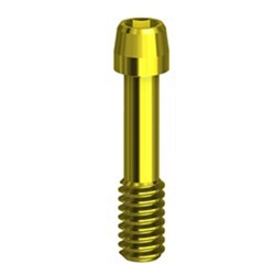 Screw TIN H1,27 WP on implant Int. Hex conic