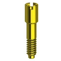 Screw TIN 5.5 Hex1,22 Int. Hex FD