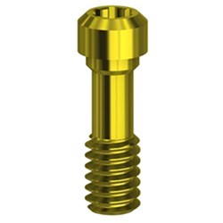Screw TIN UG RP - on implant Ext. Hex universal