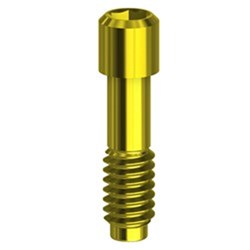 Screw TIN Hex 1.20 MegaGen
