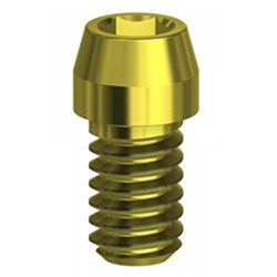 Screw TIN on UniAbutment EV Conic EVO