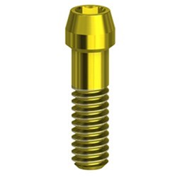 Screw TIN EV4.2 Conic EVO