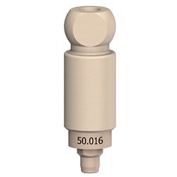 Scan Abutment Certain WP