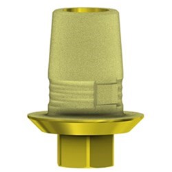 C-Base Eng Zimmer SV RP 0.5mm