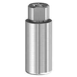 PM Blank Ti 10mm Branemark RP