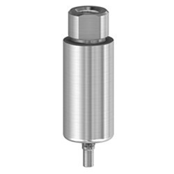PM Blank Ti 10mm Camlog 3.8