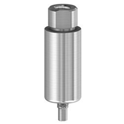 PM Blank Ti 10mm Camlog 4.3