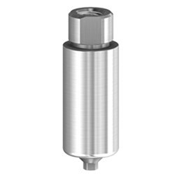 PM Blank Ti 10mm Bego 5.5