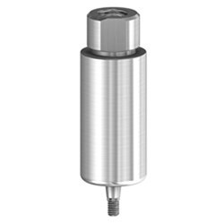 PM Blank Ti 10mm AnkylosC/X NP