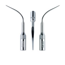 Periodontal P / DS-011A Scaling Tip Ea
