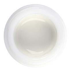 Initial IQ Lustre Paste ONE Enamel Effect Shade L-2 4g