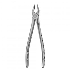 Apical Forceps #1