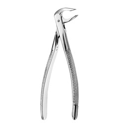Europeon Style Apical Forceps #74N Lower