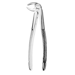 European Style Root Forceps #33 Lower Serrated