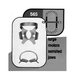 Stainless Steel Rubber Dam Clamp #56S