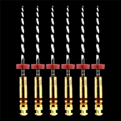 ZenFlex NiTi File 21mm .06 Size 50 Pack of 6