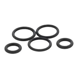 Lubrina Original KaVo Coupling 1079994048 O-ring Ea