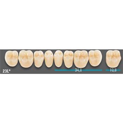 VITA Lingoform Lower Posterior Shade 1M2 Mould 23LL 3D-MASTER