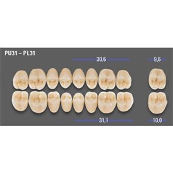 MFT 2M2 PL31 Post Lower x8