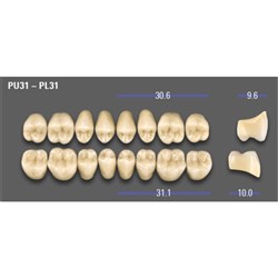 MFT Upper Posterior Classical Shade A1 Mould PU31 x8