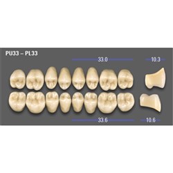 MFT Upper Posterior Classical Shade A1 Mould PU33 x8