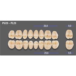 MFT A3 PL29 Post Lower x8