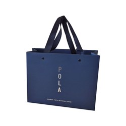 POLA Small Carry Bag