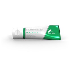 SPECIAL Opal Toothpaste Cool Mint 20ml/28gm Pkt 24