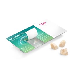 VITA VIONIC VIGO Posterior B3 23L OK