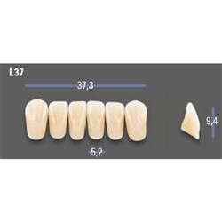 VITAPAN EXCELL Classical Lower Anterior Shade A1 Mould L37